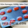 5Gm Kamagra 100Mg Oral Jelly 06